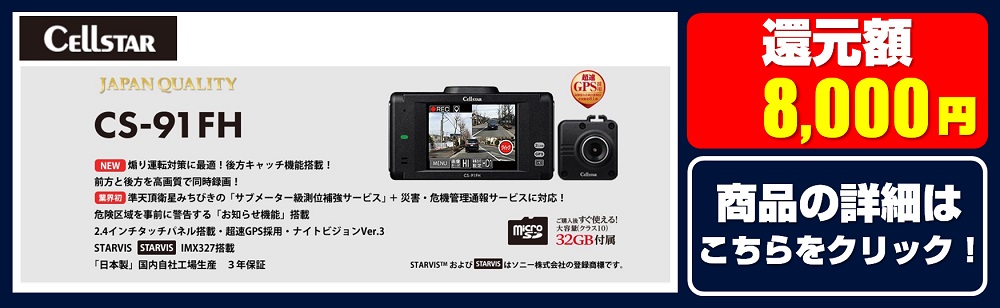 91fh_8000sd